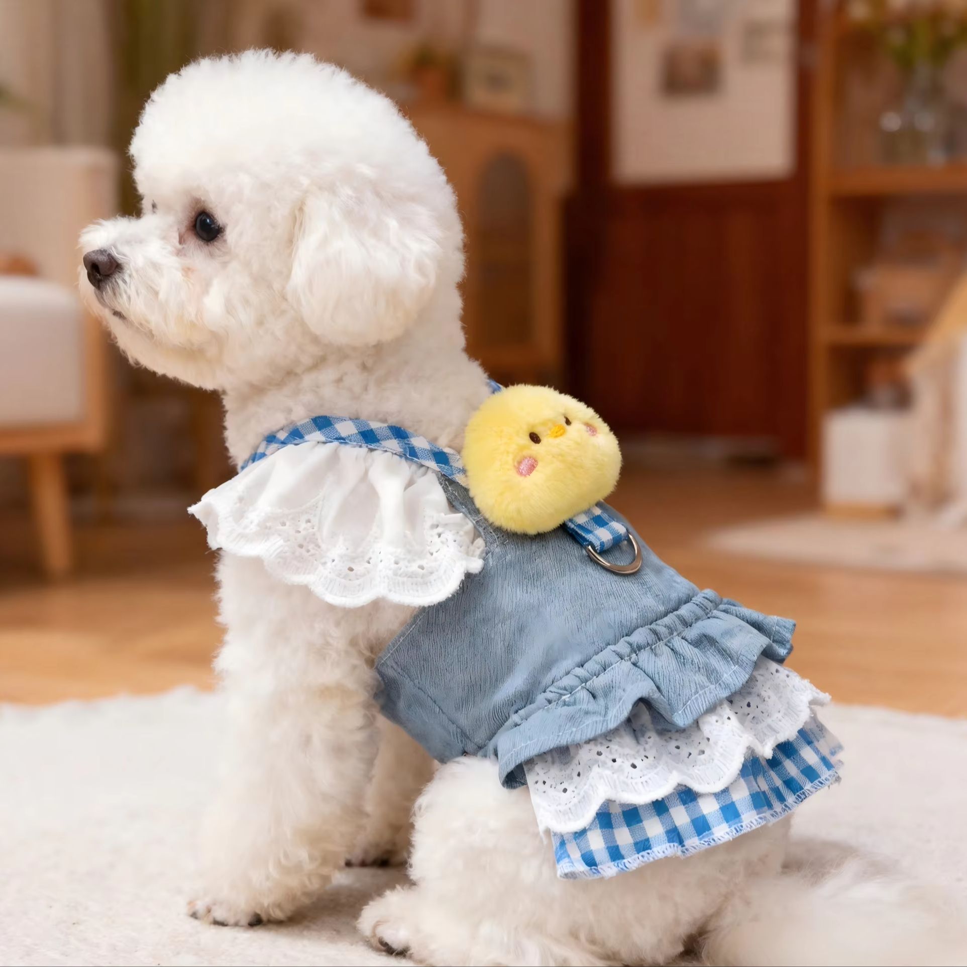 Robe à bretelles pour animaux  - D Ring Strap avis et prix